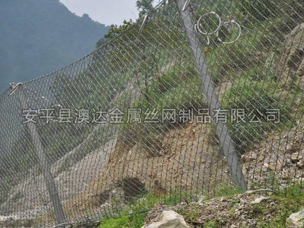 SNS被动防护网 (8)