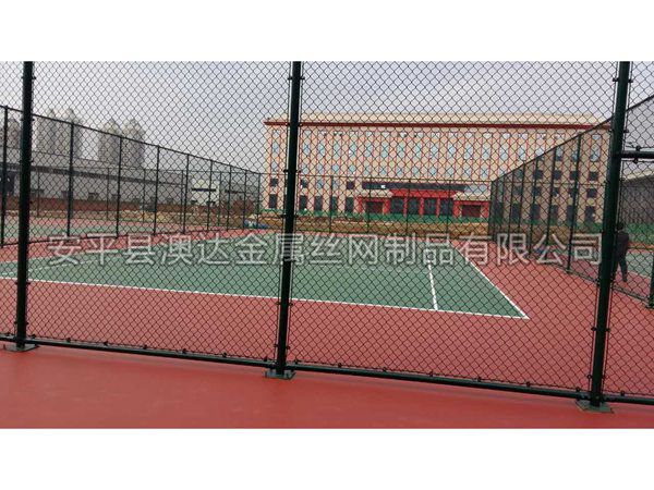 羽毛球场围网 (3)