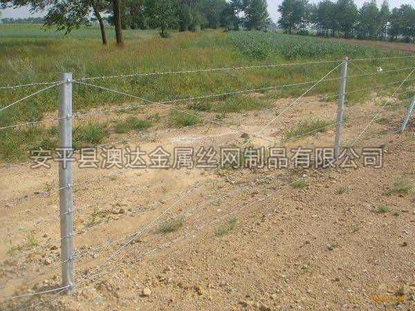 刺铁丝隔离栅 (2)
