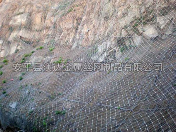 SNS主动防护网 (5)