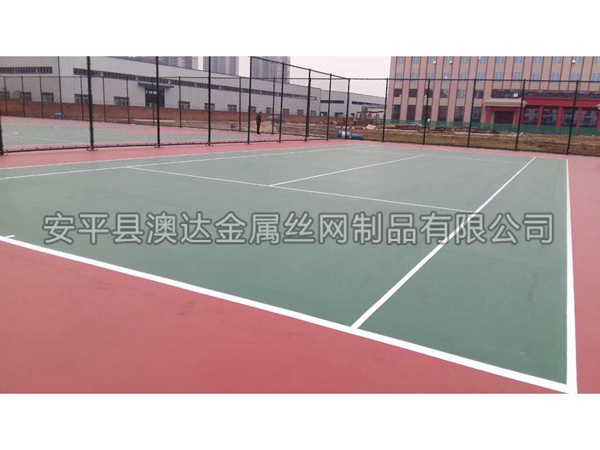 球场围网 (4)